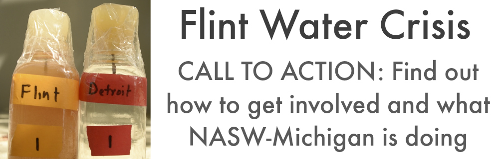 flint water crisis research paper